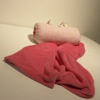 Wellsoft plédhez tok