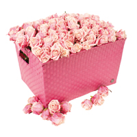 Pink tárolók